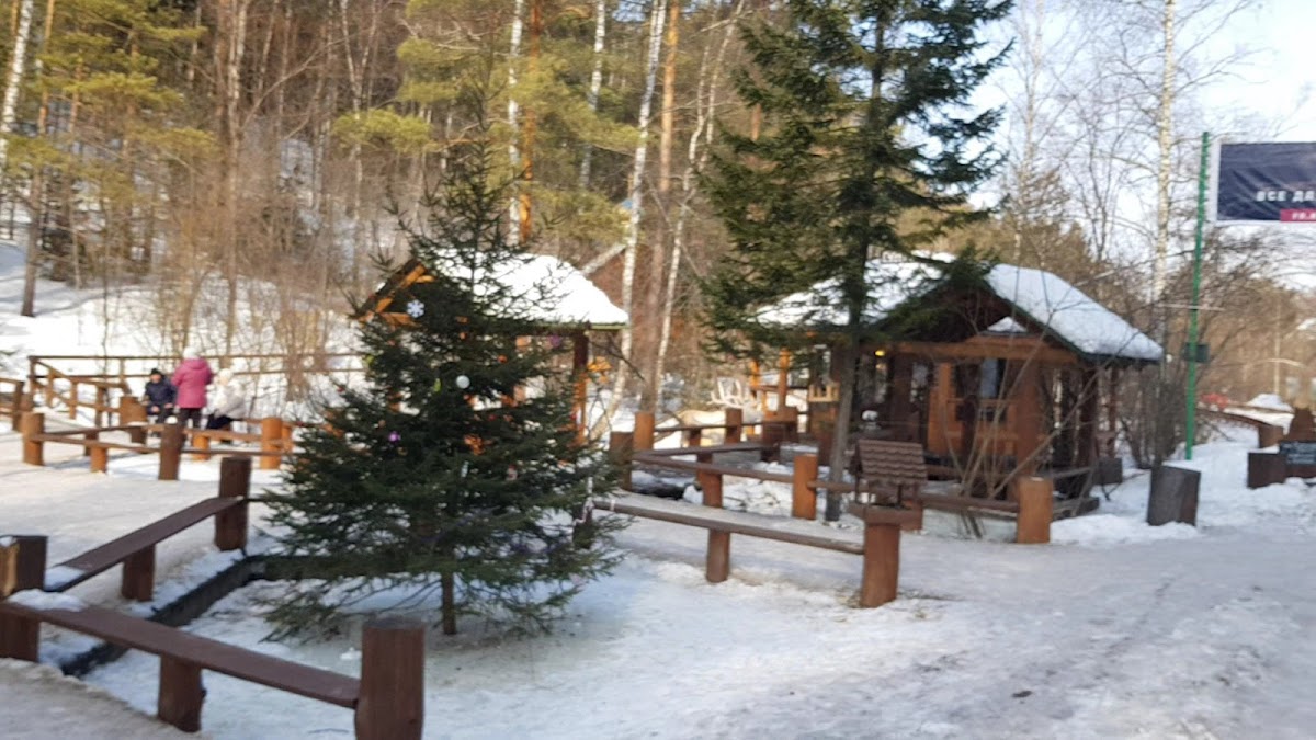 Блины, кофе и медведи