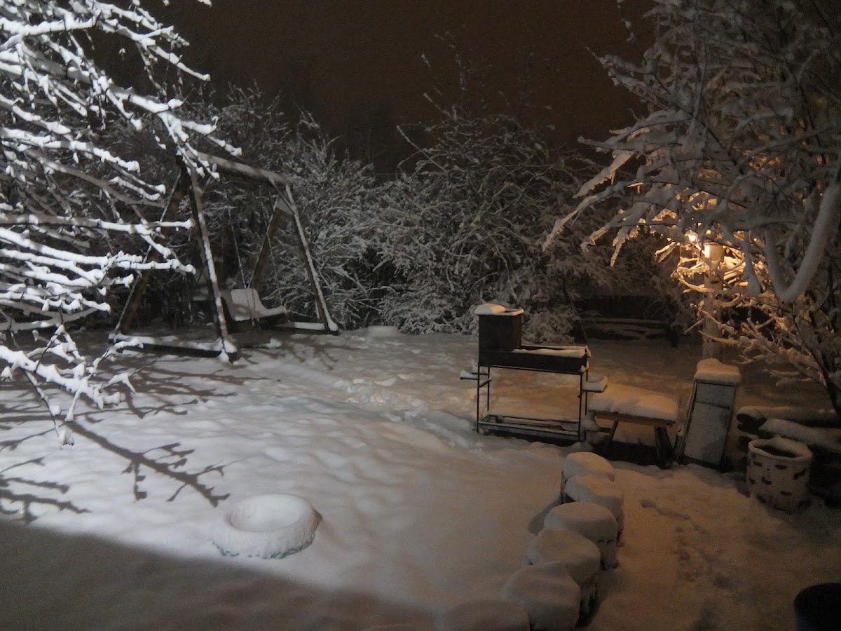 Русская Баня на Дровах с веником, купелью, зоной для пикника "Баня на Диване"