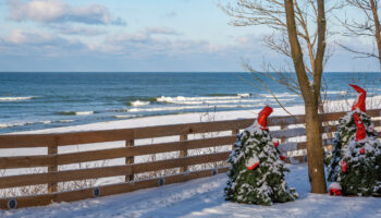 Где недорого отметить НГ