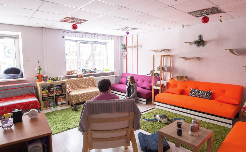 Как отметить ДР ребёнка 12-ти лет