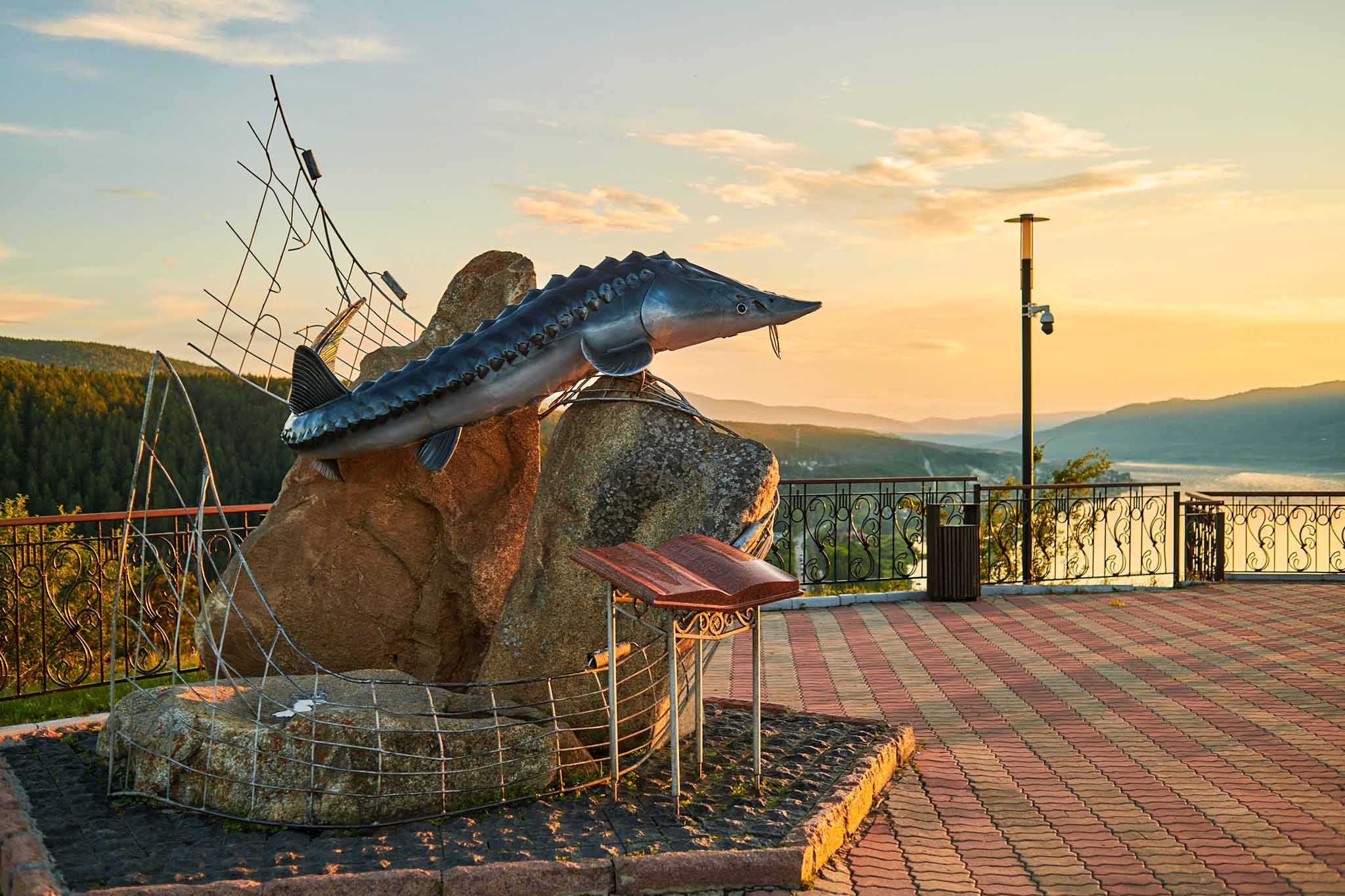 Куда сходить на пикник