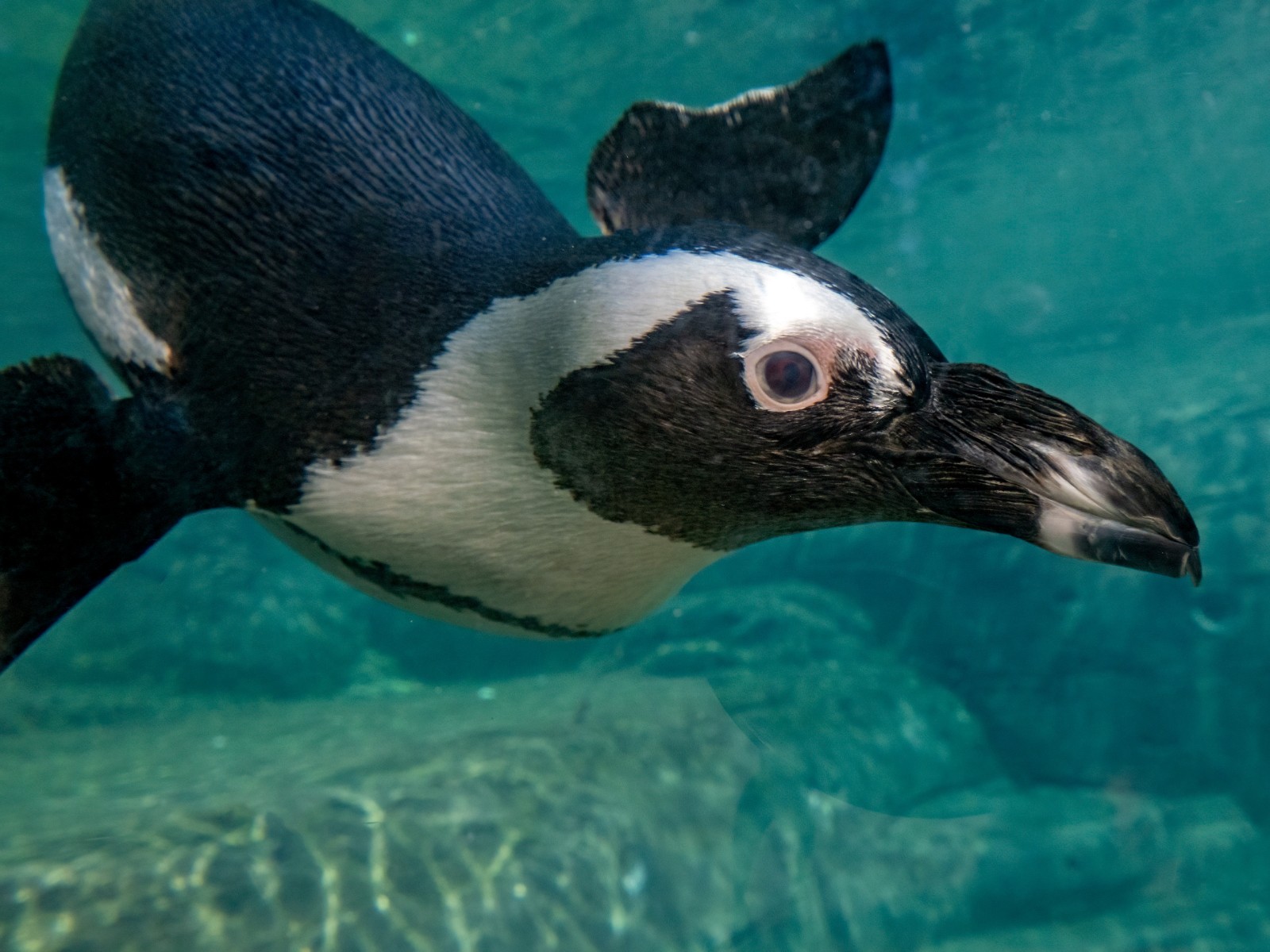 Лучшие места для прогулки с детьми