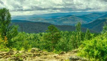 Где погулять завтра в Красноярске